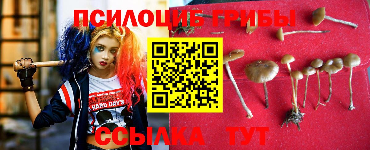 Галлюциногенные грибы мицелий  Вход с VPN  Коломна 