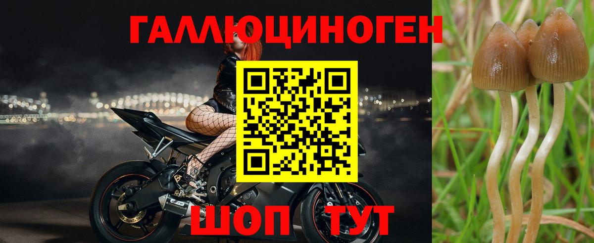 Галлюциногенные грибы Magic Shrooms Коломна